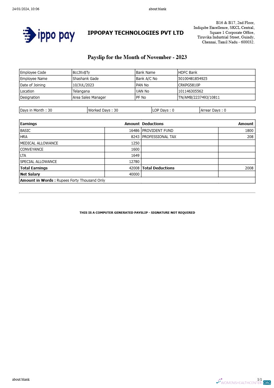 Download IppoPay Technologies payslip template in Word and PDF formats.pdf, 1 Photoshop template